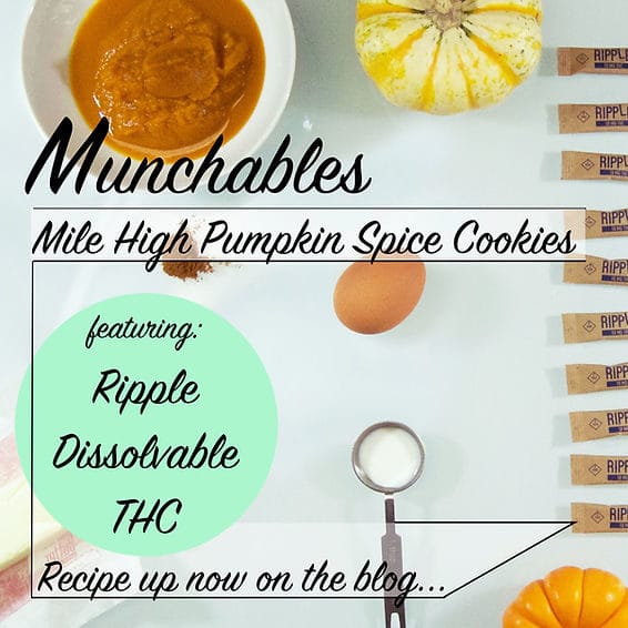 553d0f_8097f18f8d6d4068ab55fe33b0a3a5b6mv2_d_1806_1807_s_2-6170582