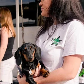 553d0f_a8e22f6dc28349728ef5333b88622115mv2-3637732