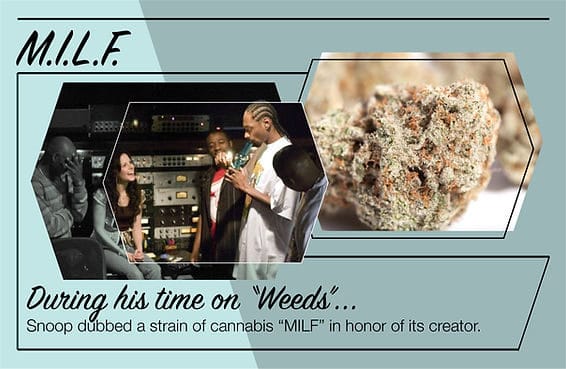 553d0f_bf80633f814c43d1b7f8a6d7e65706c6mv2_d_3386_2206_s_2-4768523