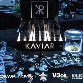 553d0f_dd03d3f39832434abc8e48dea715374emv2-9303313